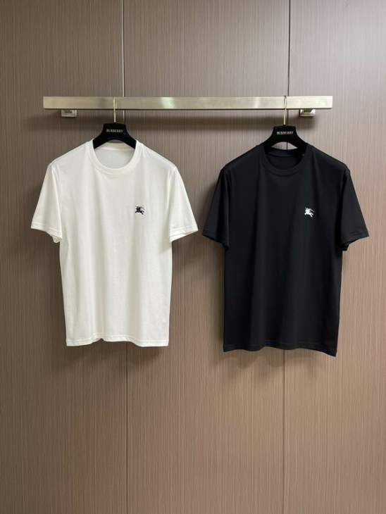 Picture of Burberry T Shirts Short _SKUBurberryS-2XLtltx9319778